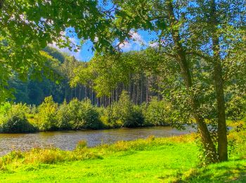 Randonnée Marche Bouillon - Balade au fil du ruisseau des Aleines - Les Hayons - Photo