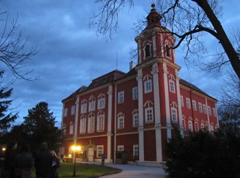 Tour Zu Fuß Jetteniz - naučná stezka Viničky - Photo