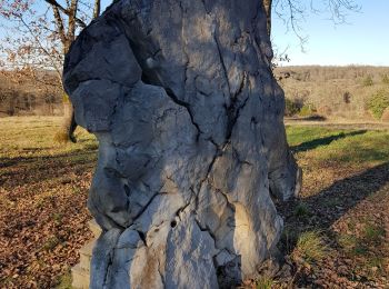 Tocht Stappen Gramat - Saint chignes issendolus - Photo