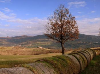 Trail On foot Pennabilli - IT-099 - Photo