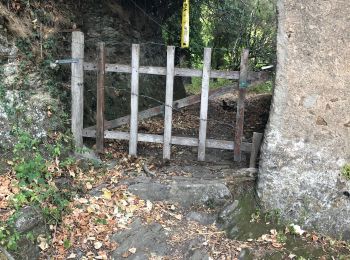 Percorso Sentiero Carcheto-Brustico - Boucle 2 de la station de trail de corse  - Photo