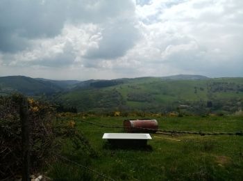 Tour Wandern Cherier - rando à Moulin Charier - Photo