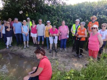 Tocht Stappen Seneffe - Promenade Piedescaus Seneffe Ronce - Photo