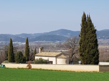 Tour Wandern Valensole - 1Chapelle Sainte Madeleine, Villedieu. - Photo