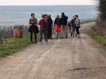 Randonnée Marche Montgueux - Mongueux - Photo