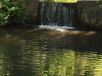 Tocht Stappen Jouy-en-Josas - Jouy en Josas  - Photo