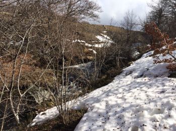 Trail Walking Saint-Chély-d'Aubrac - S’y chely  - Photo