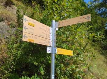 Trail Walking La Thuile - Étape 4 - Refuge Deffeyes - Planaval - Photo