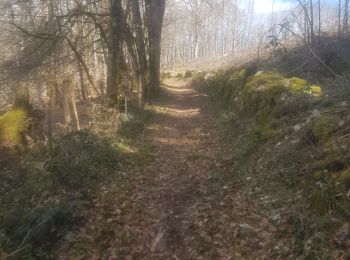 Trail Running Pont-de-Poitte - poitte beauregard mesnois pont de poitte poitte - Photo