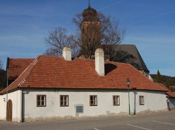 Tour Zu Fuß Gemeinde Winzendorf-Muthmannsdorf - Brunn - Muthmannsdorf - Photo