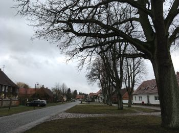 Tocht Te voet Wittstock/Dosse - Rundweg Wiesen, Felder und Auen - Photo