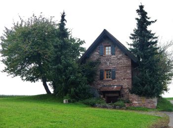 Tour Zu Fuß Neubulach - Hummelberg - Martinsmoos - Photo