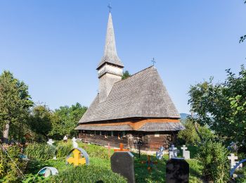 Tour Zu Fuß  - sat Hărnicești – sat Breb – intersecție traseul BR-CR (red cross) - Photo