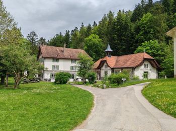 Tour Wandern Val-de-Travers - 13- Noiraigue/Champ du Moulin-A/R - Photo