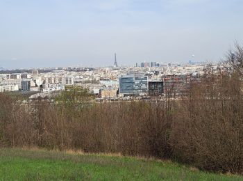 Trail Walking Boulogne-Billancourt - T-Parc de Saint Cloud - Photo