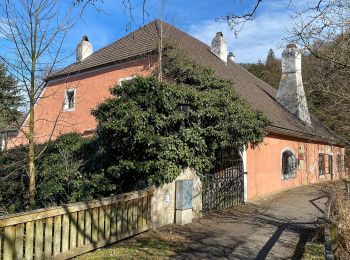 Percorso A piedi Gemeinde Melk - Welterbesteig Wachau Etappe 9 - Photo