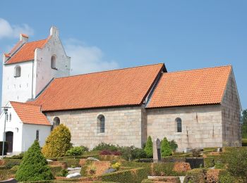 Tocht Te voet  - Fosdal Plantage Rød rute - Photo