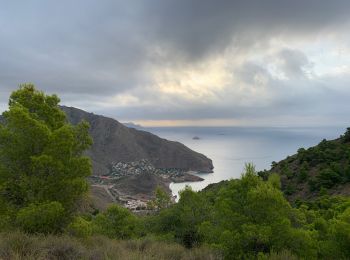 Excursión Senderismo Cartagena - El Portus Est Muella Ramirez  - Photo