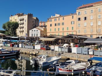 Excursión Senderismo Ajaccio - Ajacio Hôtel Napoléon - Sanguinaires et chemin des douaniers - Photo