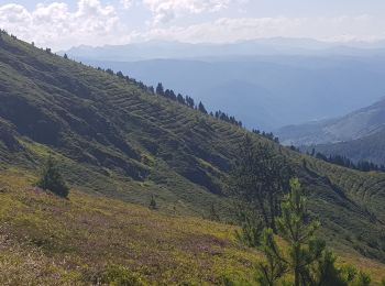 Trail Walking Ascou - col de pailleres - Photo