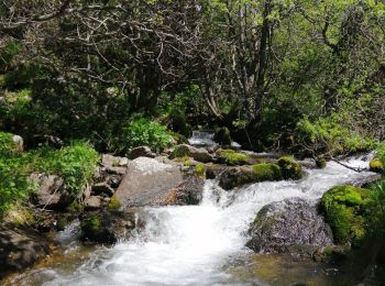 Tour Wandern Eyne - vallée d' eyne - Photo