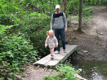 Randonnée Marche Ohey - Promenade des Petits Ponts- Bois d'Ohey - Photo