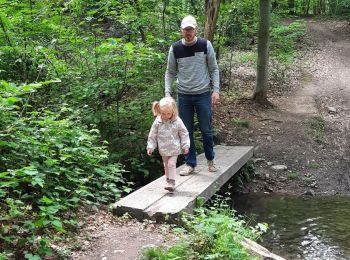 Trail Walking Ohey - Promenade des Petits Ponts- Bois d'Ohey - Photo