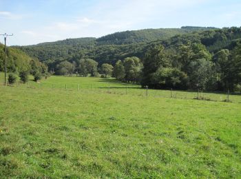 Randonnée A pied Kirchsahr - Milchstraßenweg - Photo