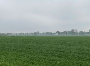 Trail Walking Kalmthout - De Kalmthout à l'Abbaye trappiste de Westmalle sur le GR5 - Photo