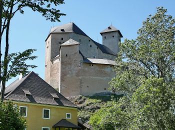 Tour Zu Fuß Gemeinde Rappottenstein - Aschenweg 3 - Photo