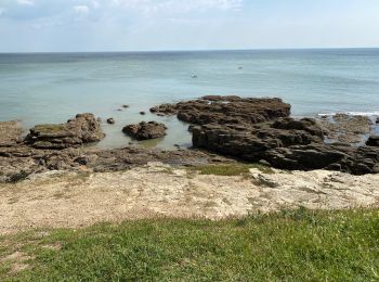 Excursión Senderismo Préfailles - Boucle en pointe de Saint Gildas - Photo