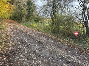 Trail Mountain bike Ciney - Sovet 2025 - Photo