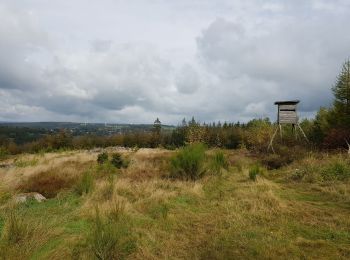 Tour Wandern Amel - 2021-05-17_18h56m57_montenau - Photo