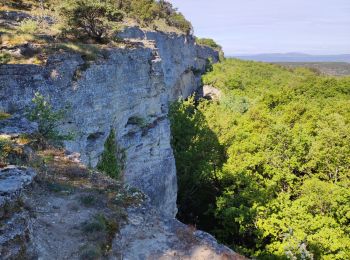 Randonnée Marche Chantemerle-lès-Grignan - Chantemerle Grignan - Photo