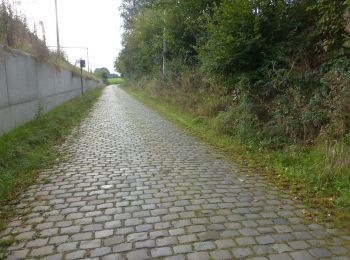 Tour Zu Fuß Löwen - Sint-Kamilluswandelpad - Photo