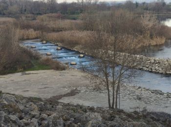 Excursión Senderismo Beaucaire - 2024-12-17 - Photo