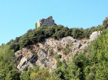 Tour Zu Fuß Gaiole in Chianti - Trekking tra i castelli 7 - Photo