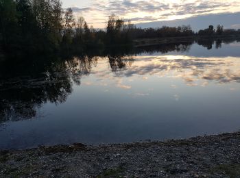 Randonnée Marche Vaulx-en-Velin - Miribel  le 20 nov 2019 - Photo