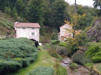 Tocht Quad Vichy - rando du teux 1 - Photo