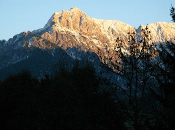 Trail On foot Tarvisio - Valley circular footpath - Photo