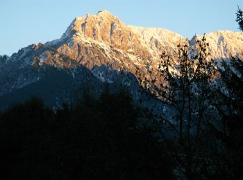 Excursión A pie Tarvisio - Anello di Fondovalle - Photo