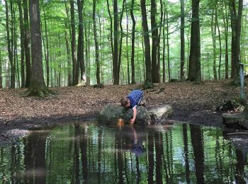 Randonnée A pied Raesfeld - Raesfeld Wassermühle Rundweg A3 - Photo