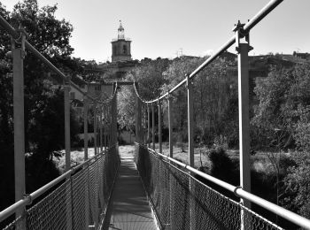 Trail Walking Trans-en-Provence - Trans en Provence - Puits Aérien - Passerelle hymalayenne - Photo