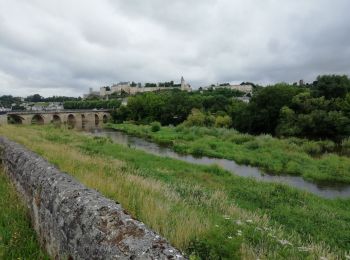 Trail Mountain bike Ligré - 37-vtt-Ligré-ruisseau-st-Mexme-27km-juin21 - Photo