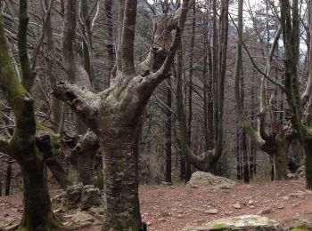 Percorso A piedi Urnieta - SL-GI 43 Besadegi - Muniskue - Oindi - Photo