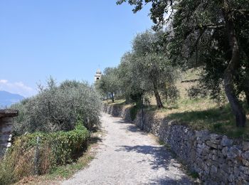 Trail On foot Torri del Benaco - Percorso del Pellegrino - Photo