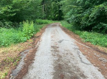 Percorso Marcia Huby-Saint-Leu - Balade dans la forêt d’Hesdin 1 - Photo