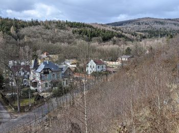 Percorso A piedi Dubí - [M] Okruh kolem Francouzského kamene - Photo