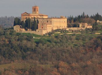 Randonnée A pied Pienza - Sodoma - Photo