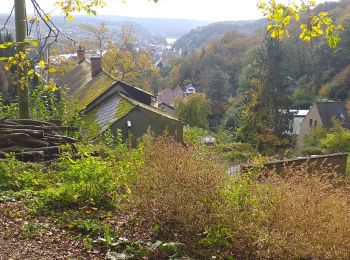 Tocht Stappen Namen - Jambes citadelle la Plante - Photo